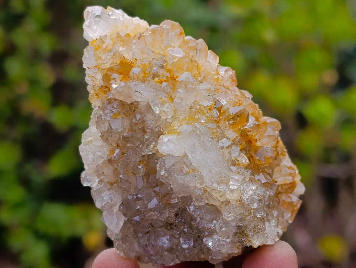 Natural Golden Limonite Quartz Clusters x 24 From Solwezi, Zambia