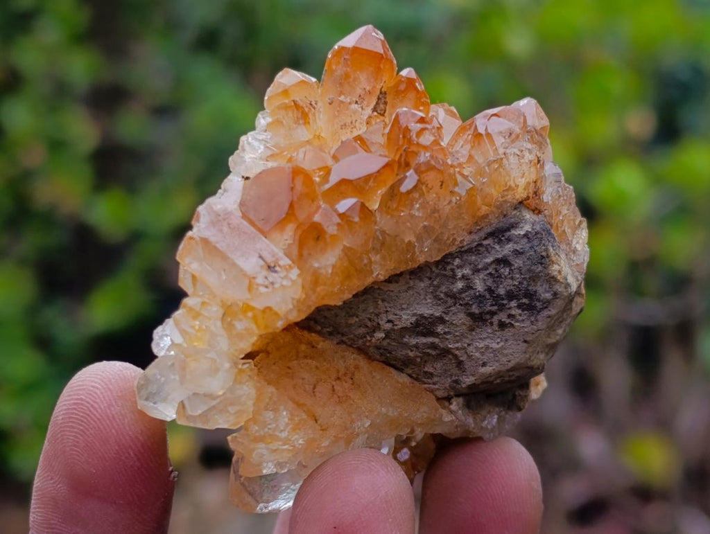 Natural Golden Limonite Quartz Clusters x 24 From Solwezi, Zambia