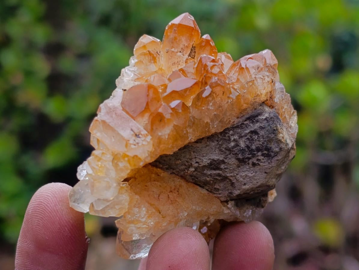 Natural Golden Limonite Quartz Clusters x 24 From Solwezi, Zambia