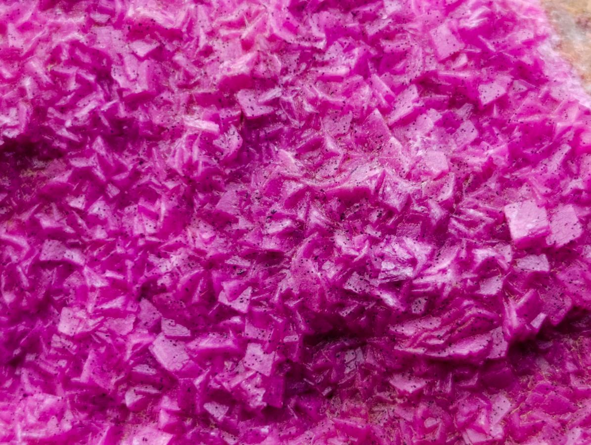Natural Large Salrose Cobaltoan Dolomite Specimens x 2 From Kakanda, Congo