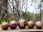 Polished Red Podocarpus Petrified Wood Spheres x 5 From Mahajanga, Madagascar