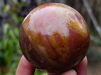 Polished Red Podocarpus Petrified Wood Spheres x 5 From Mahajanga, Madagascar