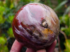 Polished Red Podocarpus Petrified Wood Spheres x 5 From Mahajanga, Madagascar