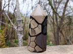 Polished and Natural Large Septerye Sauvage Display Crystal x 1 From Mahajanga, Madagascar
