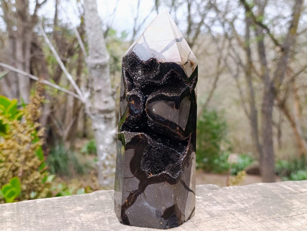 Polished and Natural Large Septerye Sauvage Display Crystal x 1 From Mahajanga, Madagascar