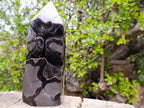 Polished and Natural Large Septerye Sauvage Display Crystal x 1 From Mahajanga, Madagascar
