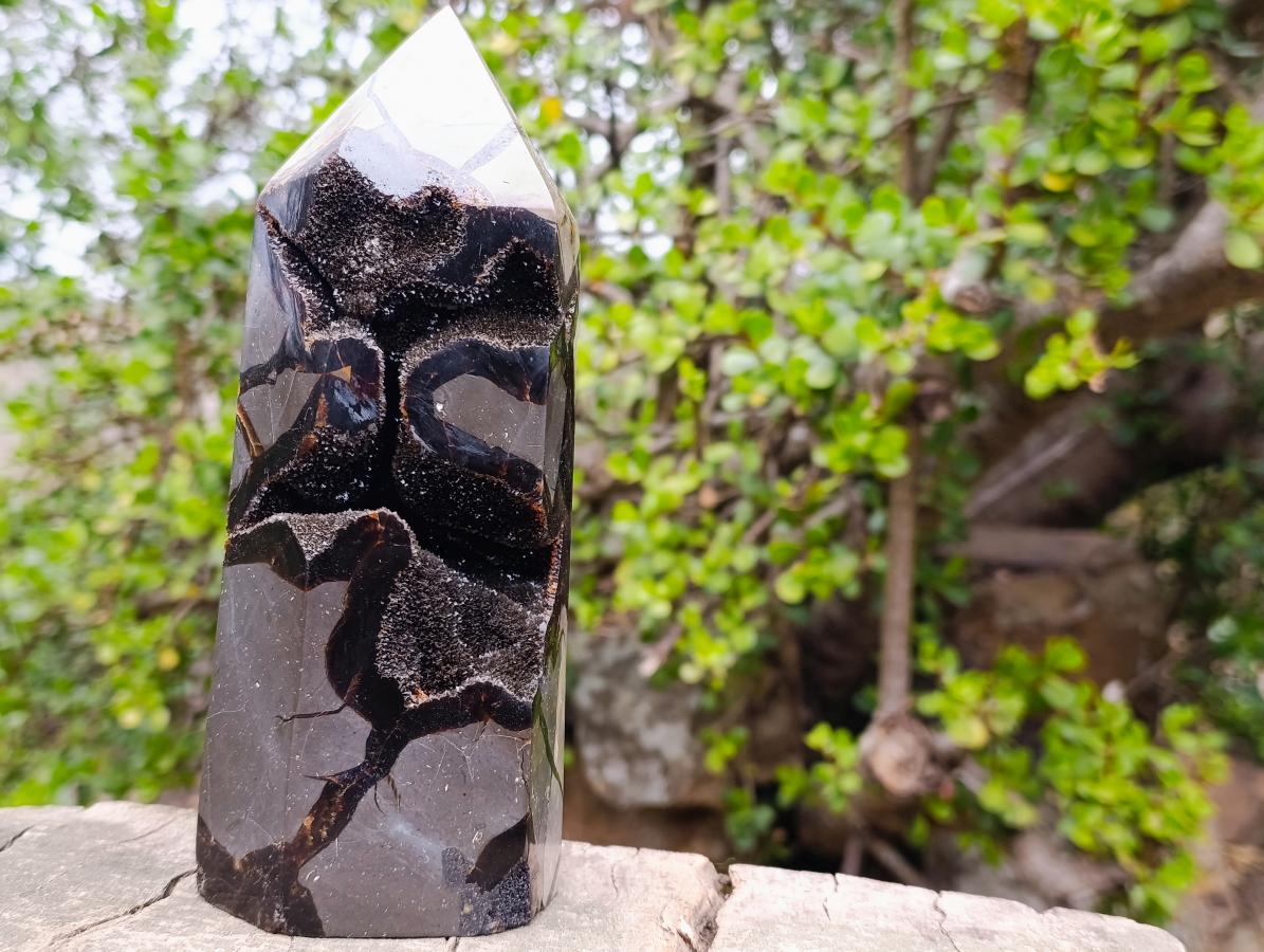 Polished and Natural Large Septerye Sauvage Display Crystal x 1 From Mahajanga, Madagascar