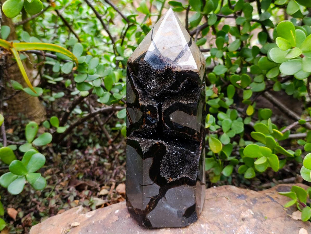 Polished and Natural Large Septerye Sauvage Display Crystal x 1 From Mahajanga, Madagascar