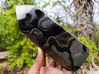 Polished and Natural Large Septerye Sauvage Display Crystal x 1 From Mahajanga, Madagascar