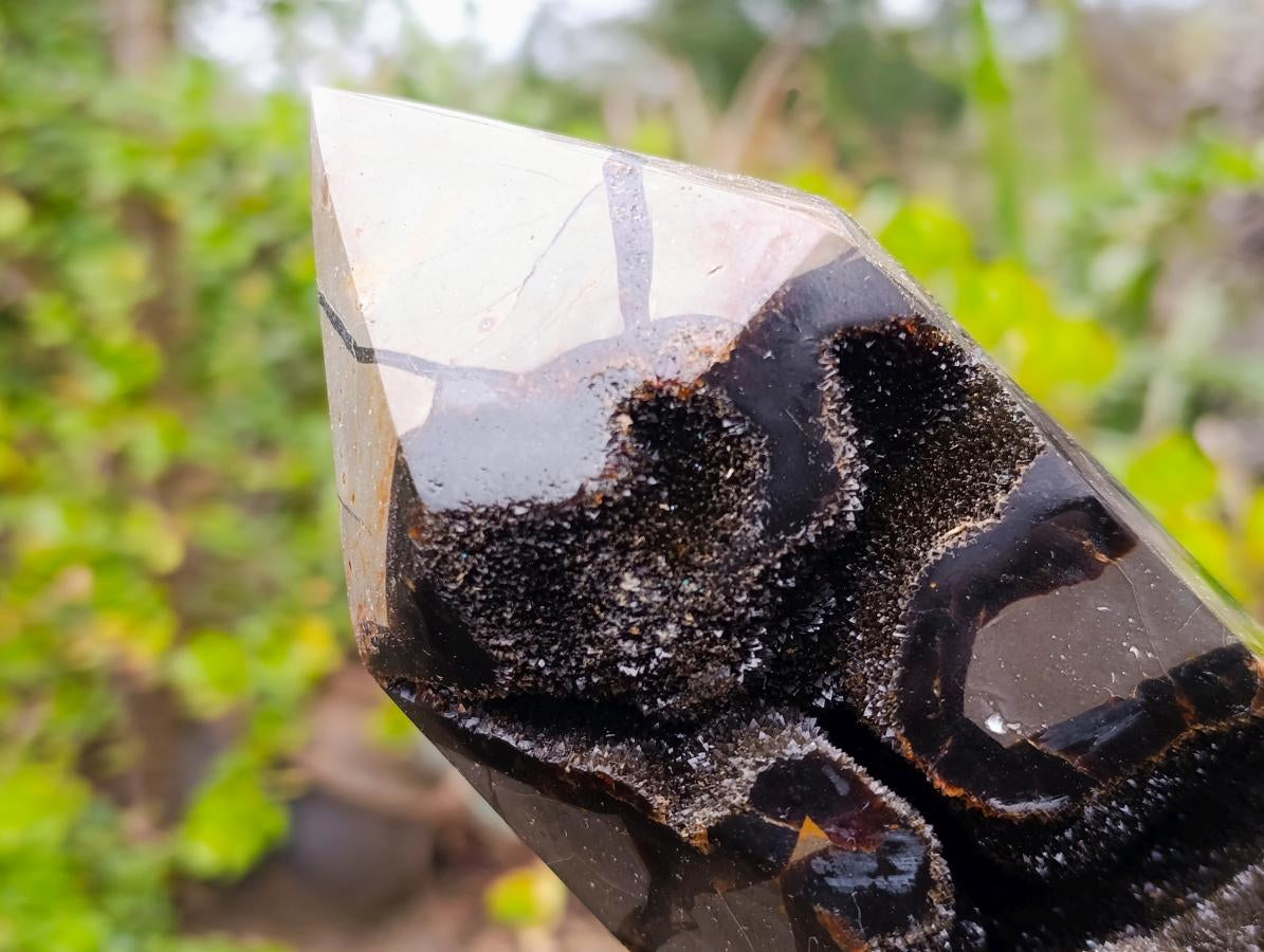 Polished and Natural Large Septerye Sauvage Display Crystal x 1 From Mahajanga, Madagascar