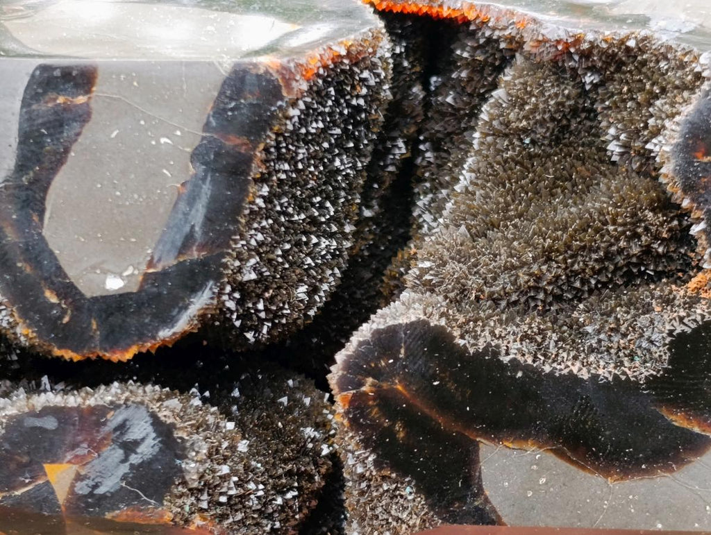 Polished and Natural Large Septerye Sauvage Display Crystal x 1 From Mahajanga, Madagascar