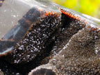 Polished and Natural Large Septerye Sauvage Display Crystal x 1 From Mahajanga, Madagascar