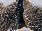 Polished and Natural Large Septerye Sauvage Display Crystal x 1 From Mahajanga, Madagascar