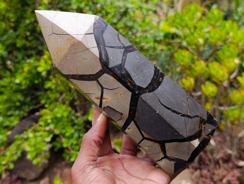 Polished and Natural Large Septerye Sauvage Display Crystal x 1 From Mahajanga, Madagascar