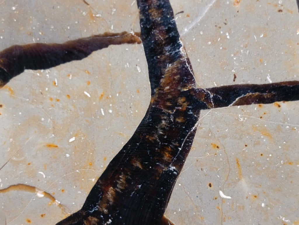 Polished and Natural Large Septerye Sauvage Display Crystal x 1 From Mahajanga, Madagascar