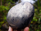 Polished Large Basalt Pharaoh Stone Galets x 4 From Iron Duke Mine, Zimbabwe