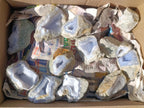 Natural Blue Lace Agate Geode Specimens x 22 From Nsanje, Malawi
