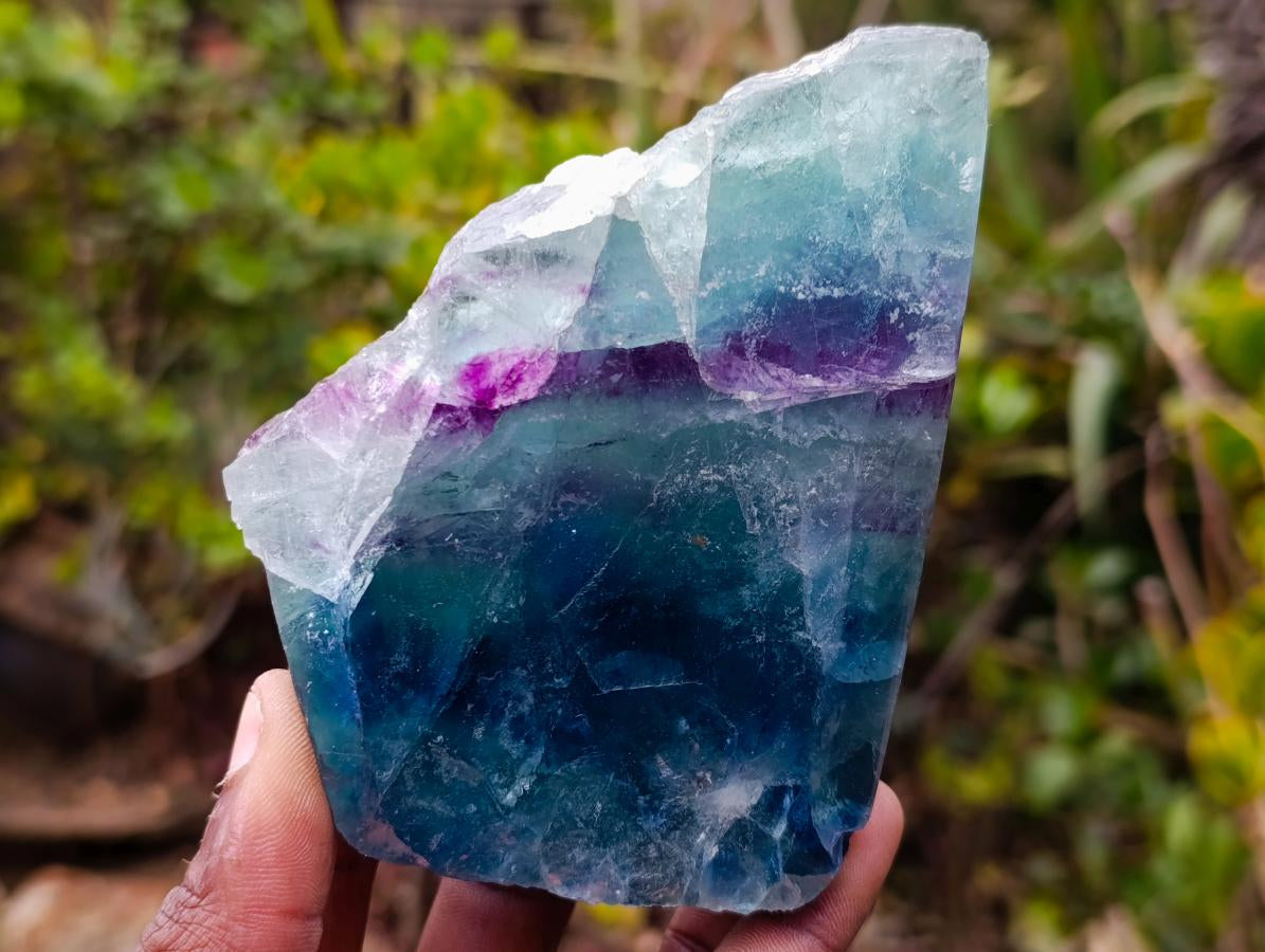 Polished One Side Watermelon Fluorite Slices x 6 From Uis, Namibia
