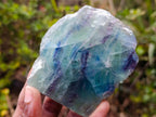 Polished One Side Watermelon Fluorite Slices x 6 From Uis, Namibia