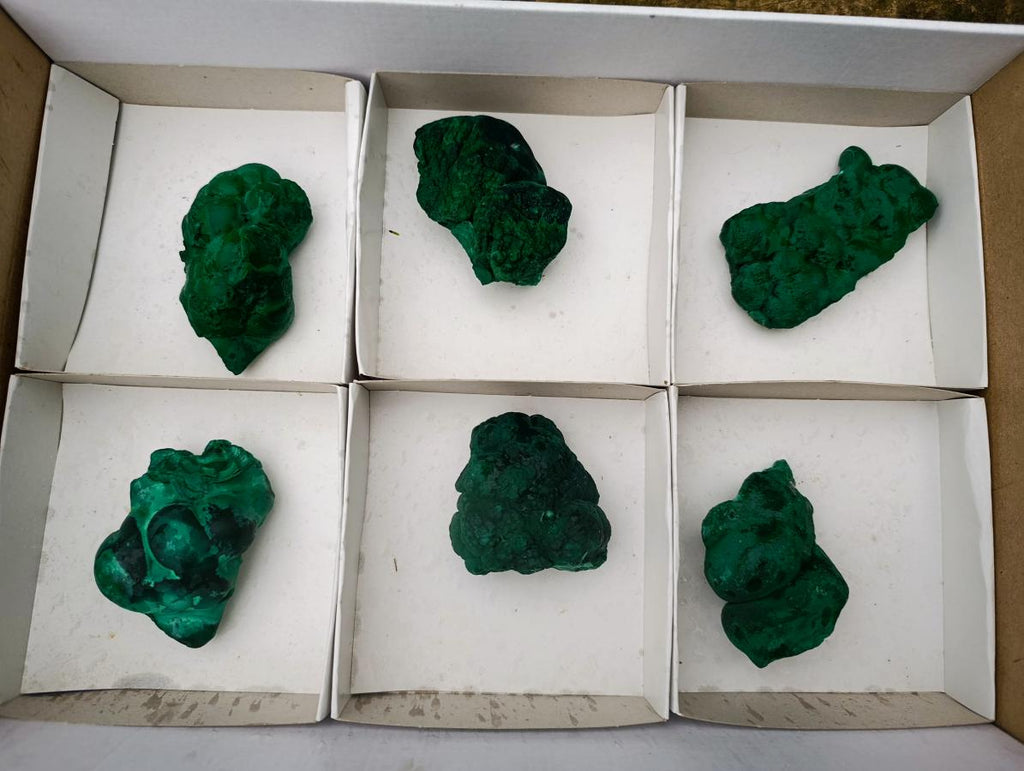 Natural Botryoidal Malachite Specimens x 6 From Congo