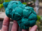 Natural Botryoidal Malachite Specimens x 6 From Congo