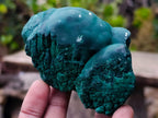 Natural Botryoidal Malachite Specimens x 6 From Congo