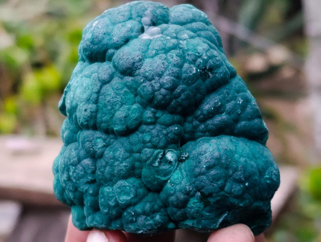 Natural Botryoidal Malachite Specimens x 6 From Congo