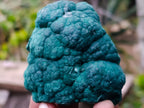 Natural Botryoidal Malachite Specimens x 6 From Congo