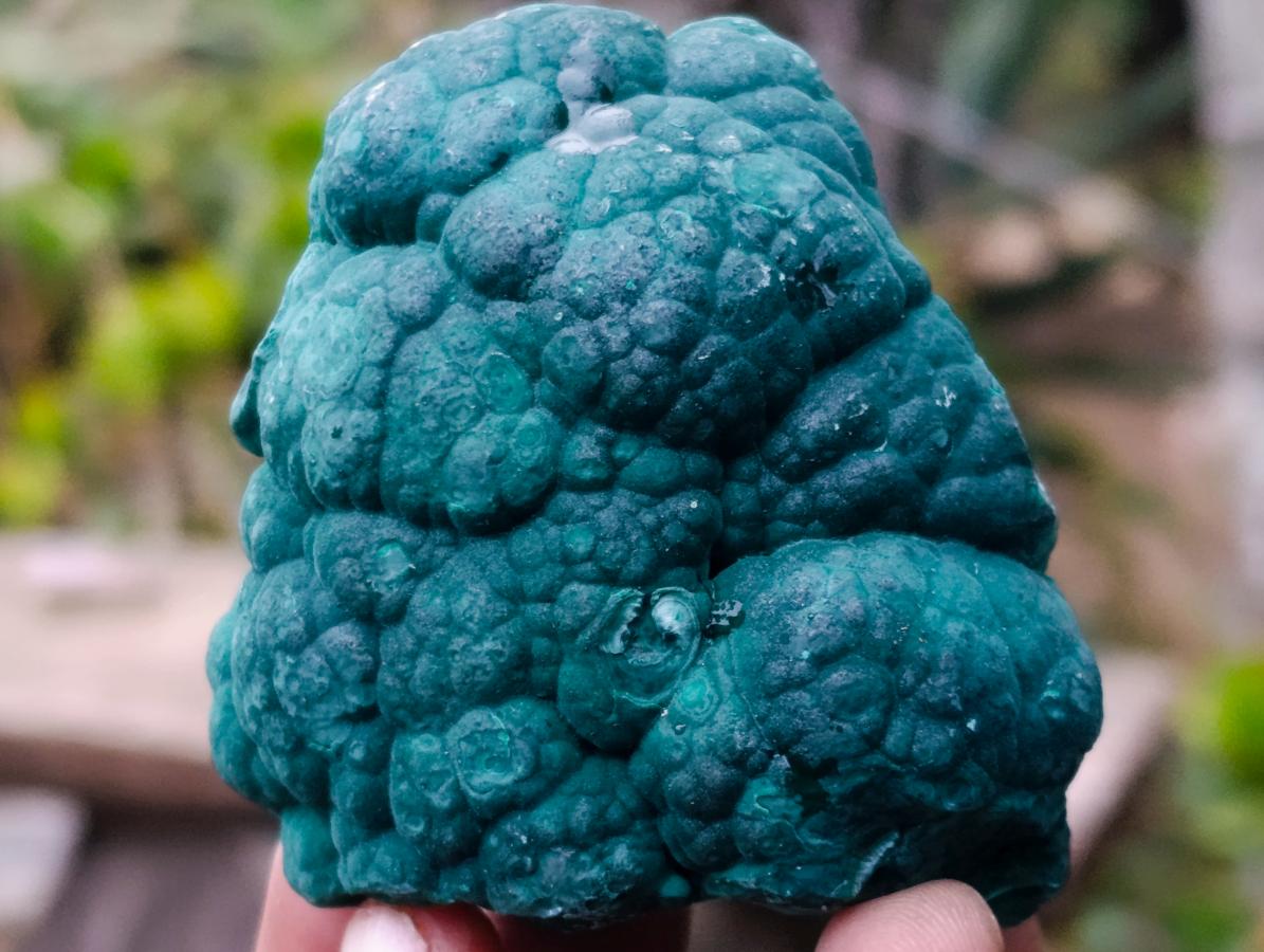 Natural Botryoidal Malachite Specimens x 6 From Congo