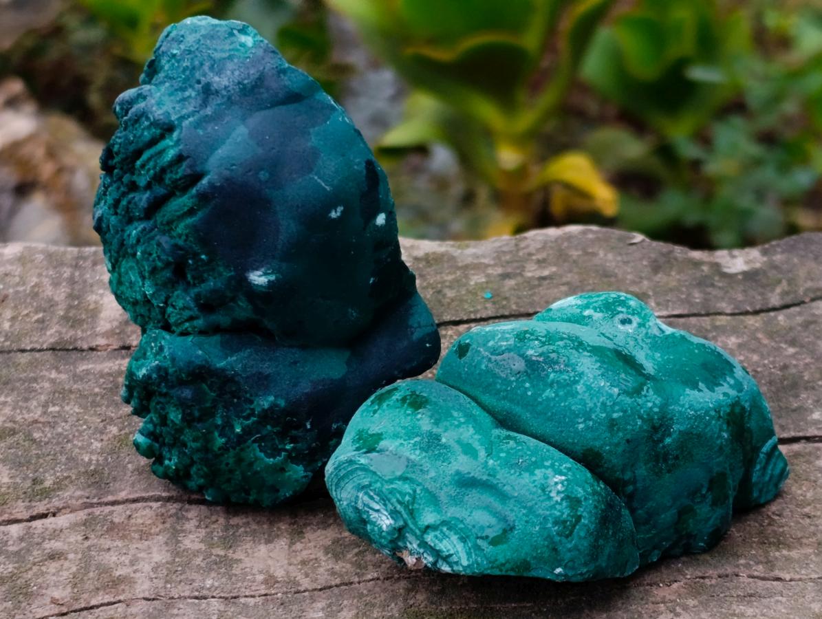 Natural Botryoidal Malachite Specimens x 6 From Congo