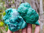 Natural Botryoidal Malachite Specimens x 6 From Congo