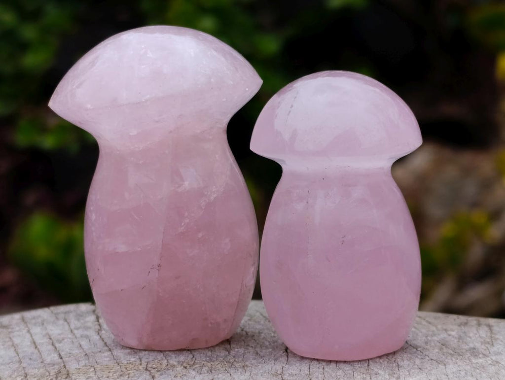Polished Mix of Rose Quartz and Ocean Jasper Mini Mushrooms x 25 From Madagascar