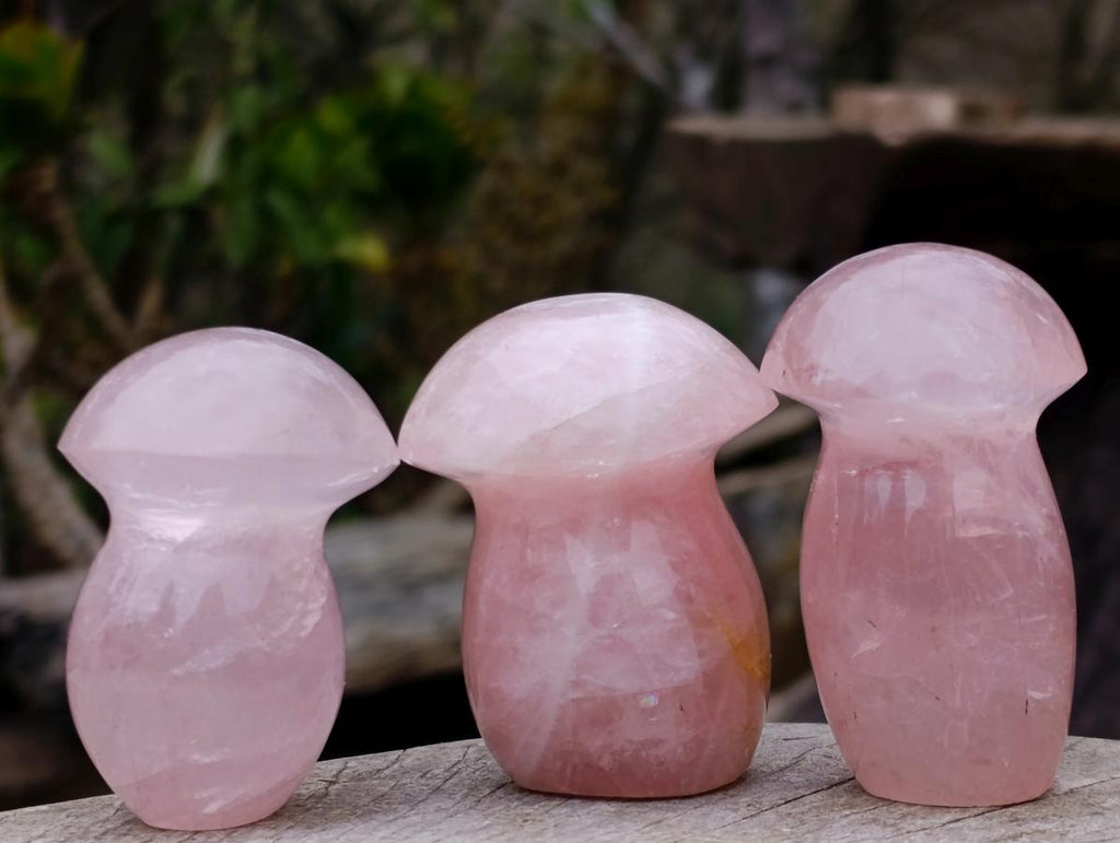 Polished Mix of Rose Quartz and Ocean Jasper Mini Mushrooms x 25 From Madagascar