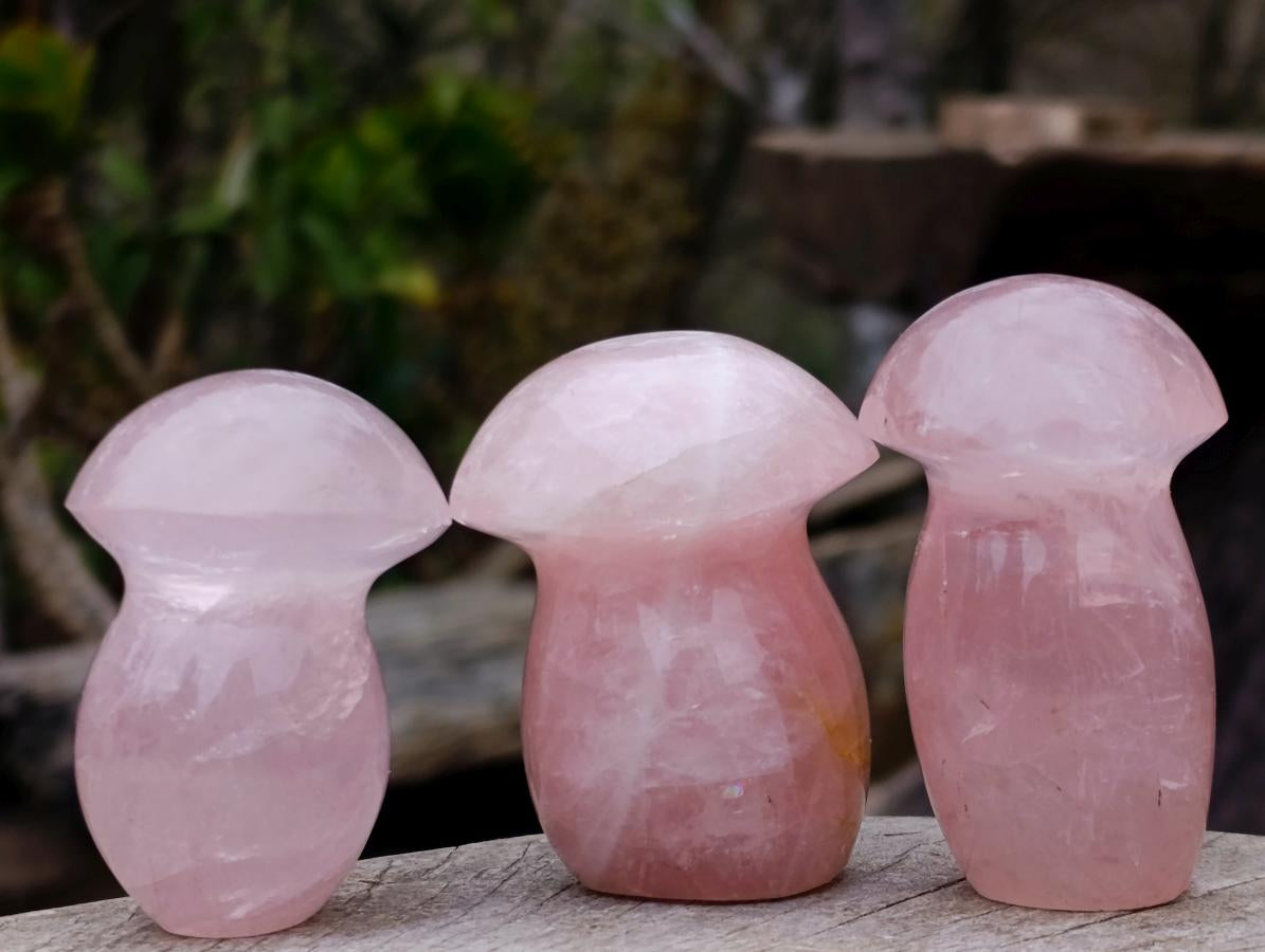 Polished Mix of Rose Quartz and Ocean Jasper Mini Mushrooms x 25 From Madagascar