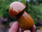 Polished Mix of Rose Quartz and Ocean Jasper Mini Mushrooms x 25 From Madagascar