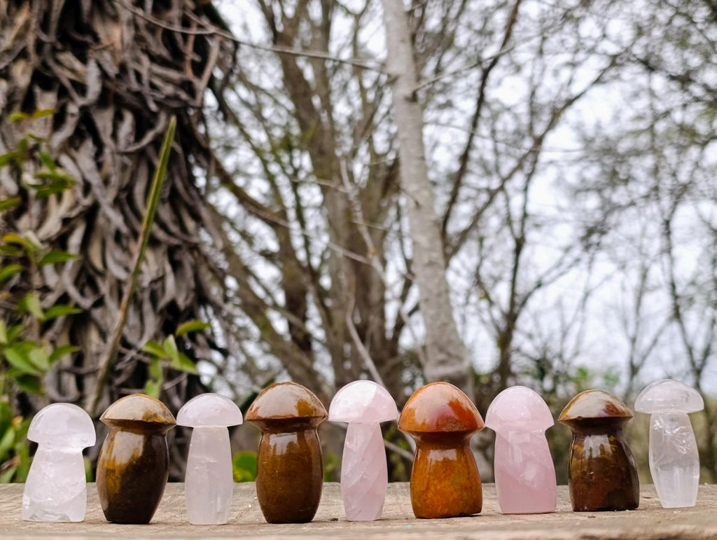 Polished Mix of Rose Quartz and Ocean Jasper Mini Mushrooms x 25 From Madagascar