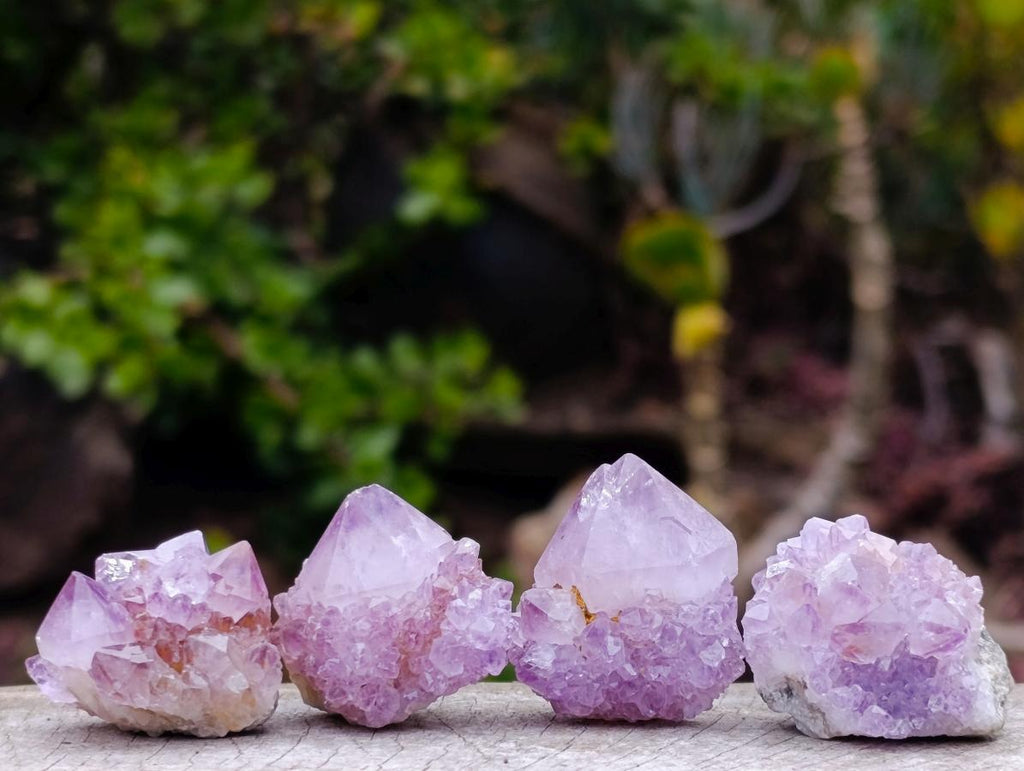 Natural Spirit Amethyst and Spirit Ametrine Clusters x 70 From Boekenhouthoek, South Africa