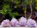 Natural Spirit Amethyst and Spirit Ametrine Clusters x 70 From Boekenhouthoek, South Africa