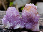 Natural Spirit Amethyst and Spirit Ametrine Clusters x 70 From Boekenhouthoek, South Africa