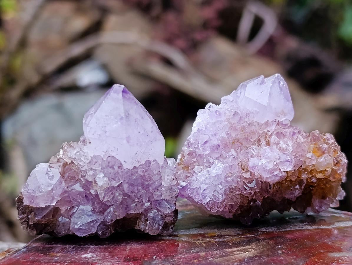 Natural Spirit Amethyst and Spirit Ametrine Clusters x 70 From Boekenhouthoek, South Africa