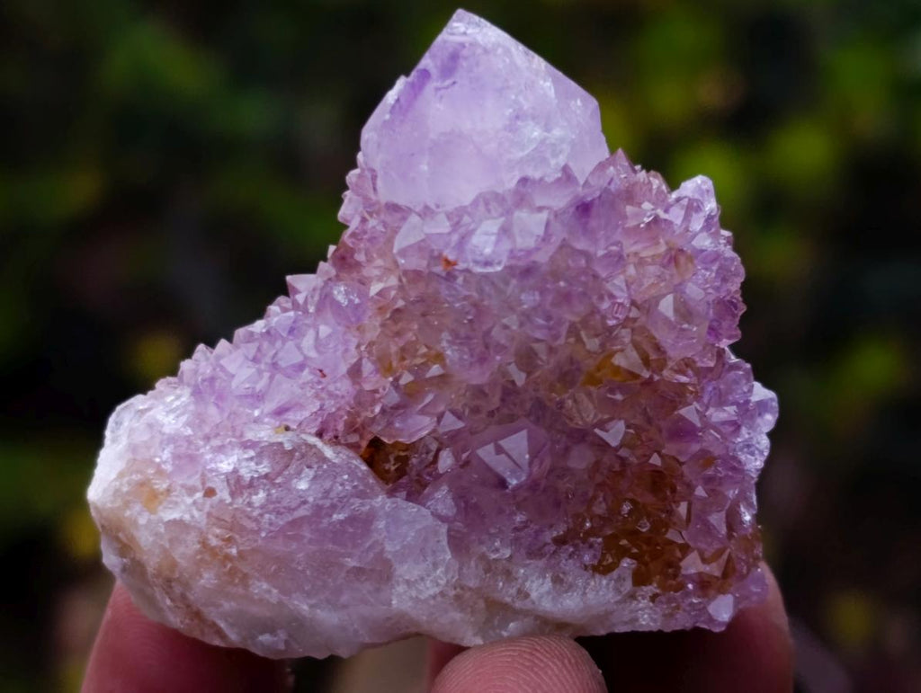 Natural Spirit Amethyst and Spirit Ametrine Clusters x 70 From Boekenhouthoek, South Africa
