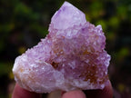 Natural Spirit Amethyst and Spirit Ametrine Clusters x 70 From Boekenhouthoek, South Africa