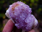 Natural Spirit Amethyst and Spirit Ametrine Clusters x 70 From Boekenhouthoek, South Africa