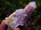 Natural Spirit Amethyst and Spirit Ametrine Clusters x 70 From Boekenhouthoek, South Africa