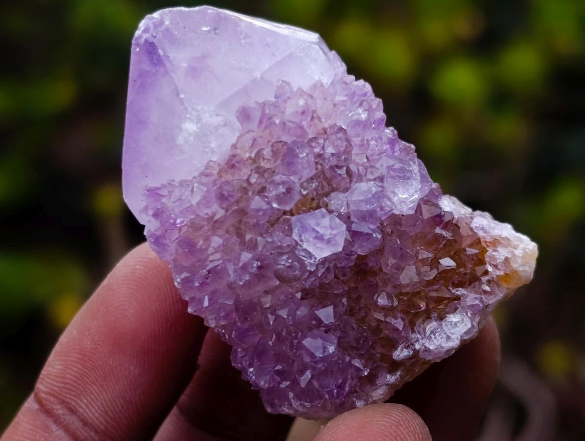 Natural Spirit Amethyst and Spirit Ametrine Clusters x 70 From Boekenhouthoek, South Africa