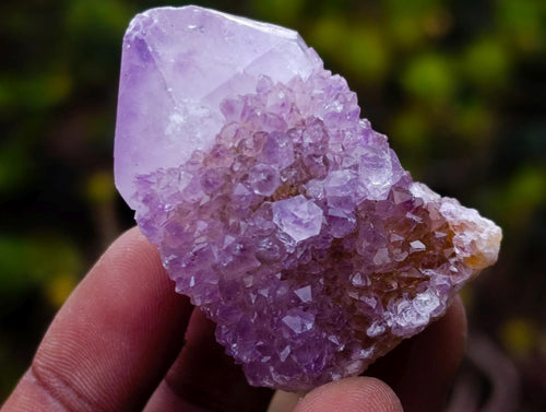 Natural Spirit Amethyst and Spirit Ametrine Clusters x 70 From Boekenhouthoek, South Africa