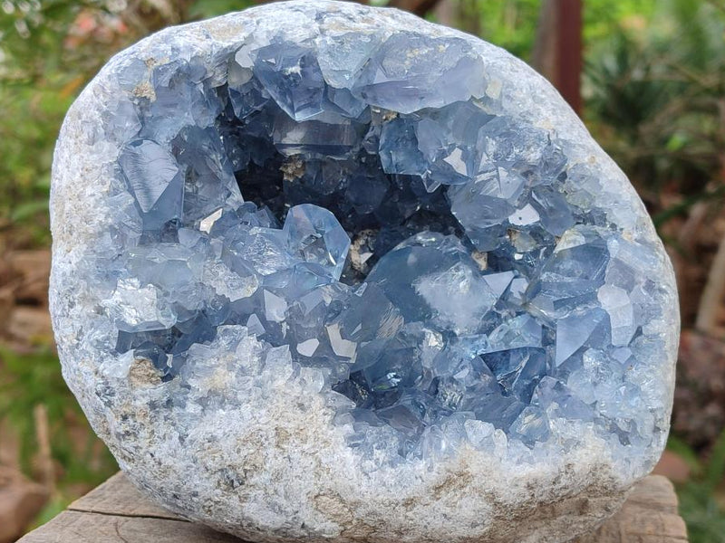 Natural Large Large Blue Celestite Geode Specimen x 1 From Sakoany, Madagascar - Toprock Gemstones and Minerals 