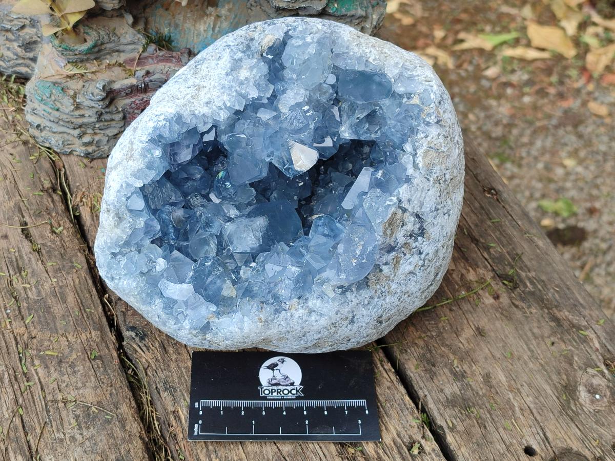 Natural Large Large Blue Celestite Geode Specimen x 1 From Sakoany, Madagascar - Toprock Gemstones and Minerals 