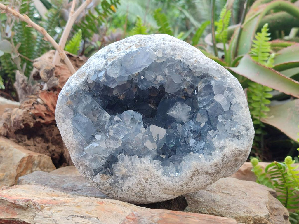 Natural Large Large Blue Celestite Geode Specimen x 1 From Sakoany, Madagascar - Toprock Gemstones and Minerals 