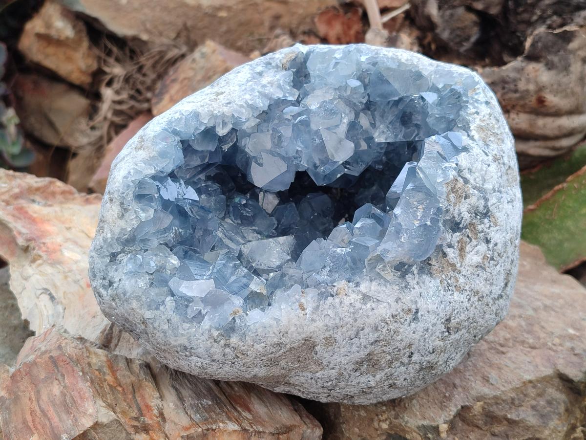 Natural Large Large Blue Celestite Geode Specimen x 1 From Sakoany, Madagascar - Toprock Gemstones and Minerals 